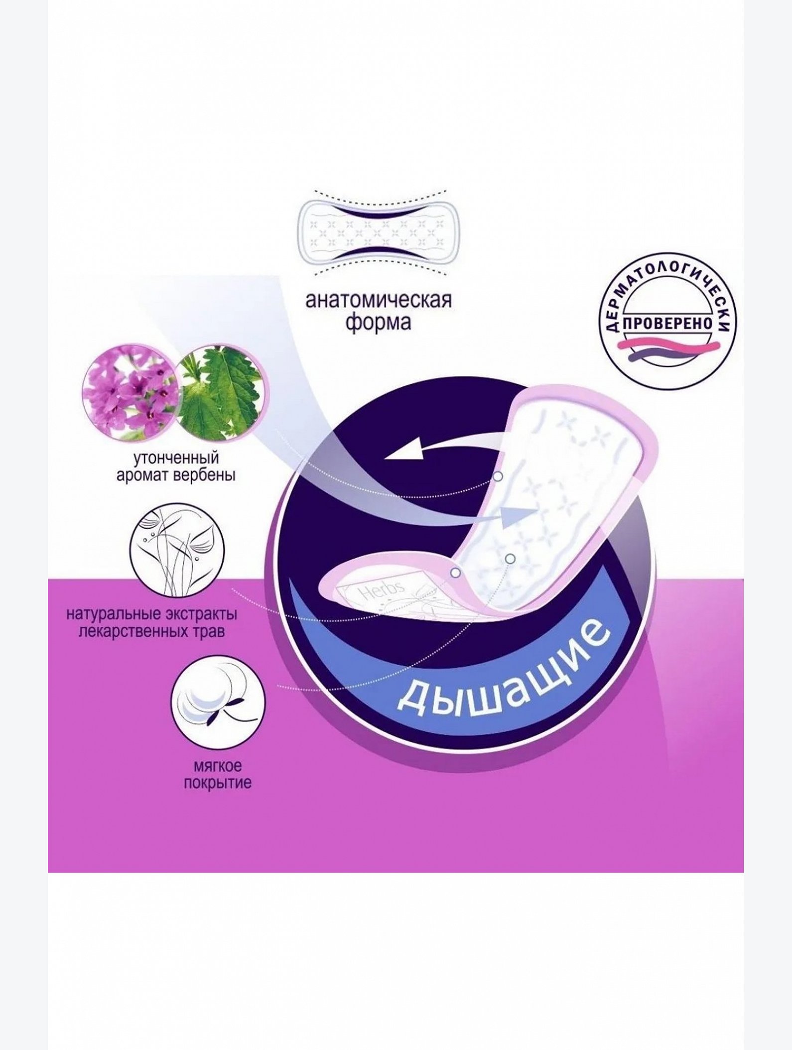 Женские ежедневные прокладки Bella panty soft verBena 60 шт Bella