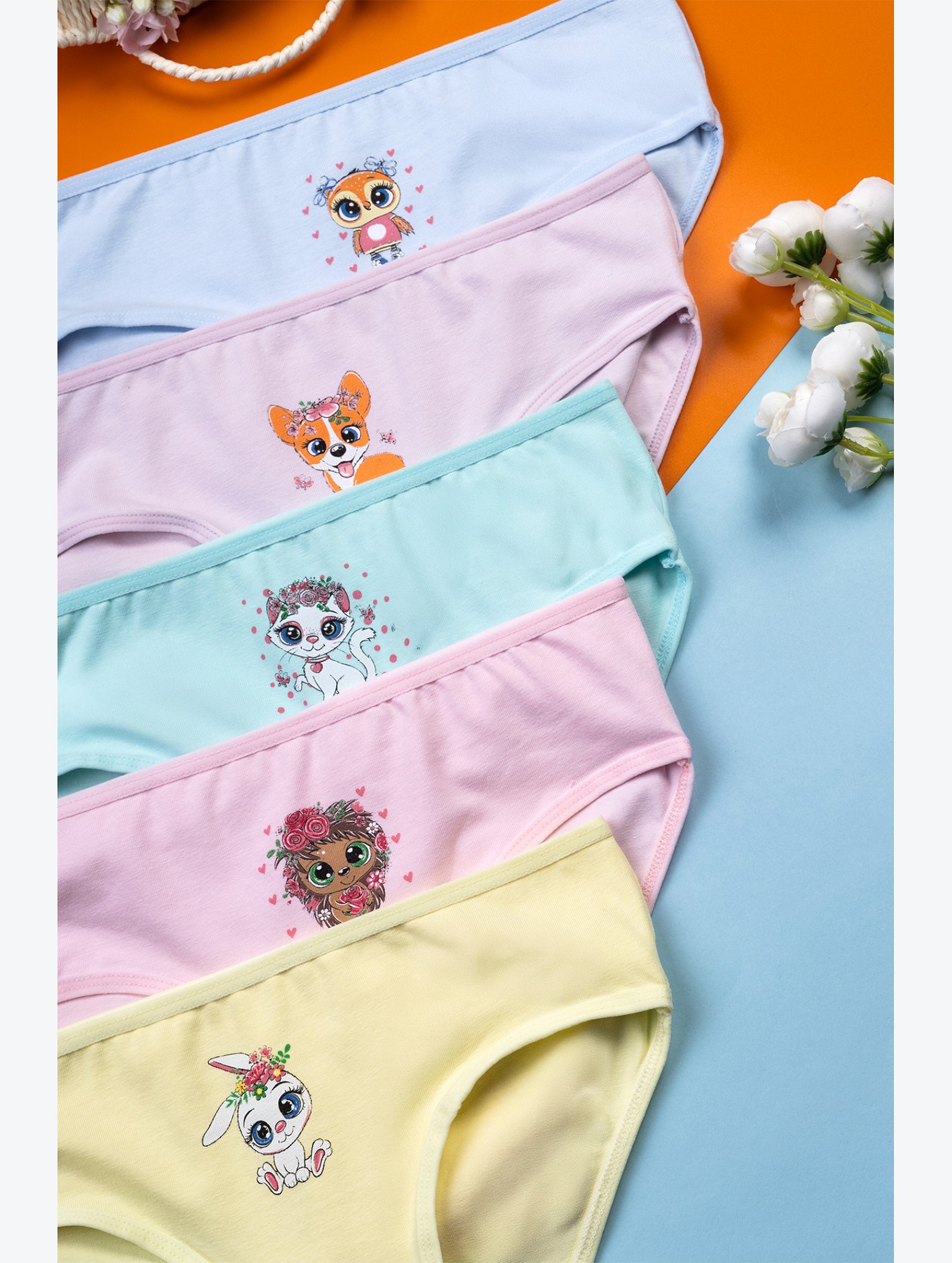 Трусы для девочки 5шт. Happyfox