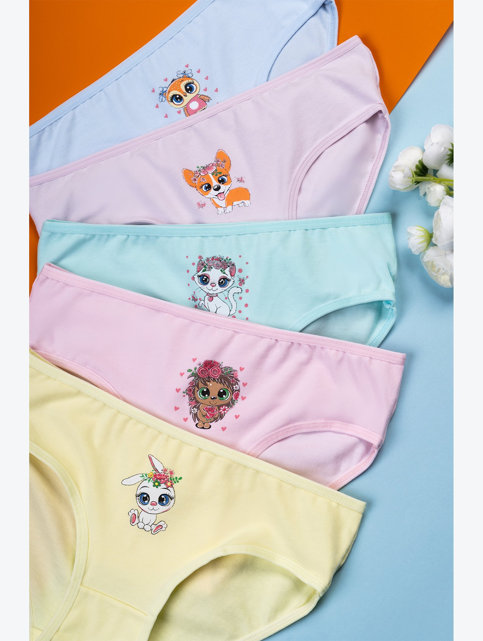 Трусы для девочки 5шт. Happyfox