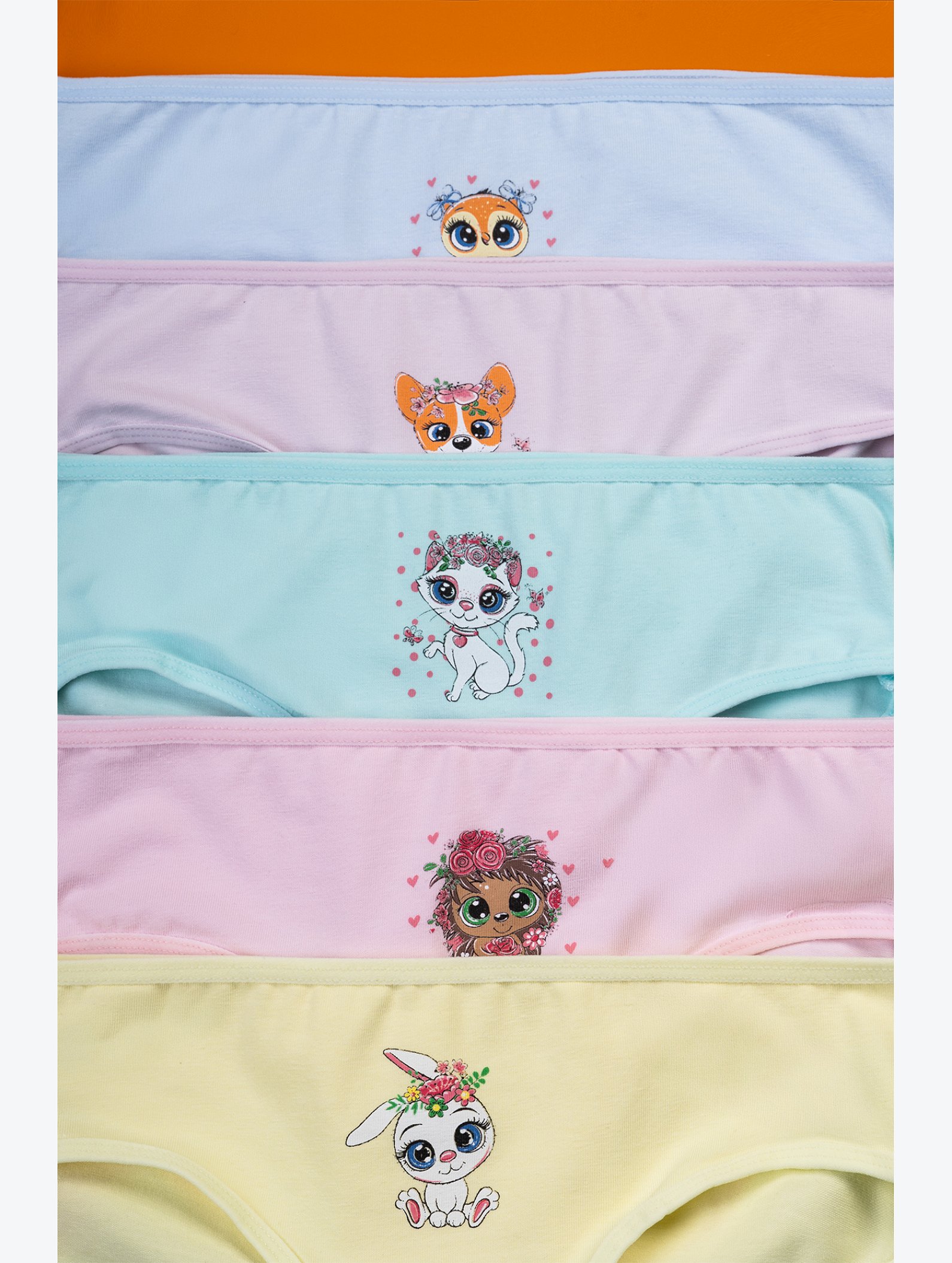 Трусы для девочки 5шт. Happyfox