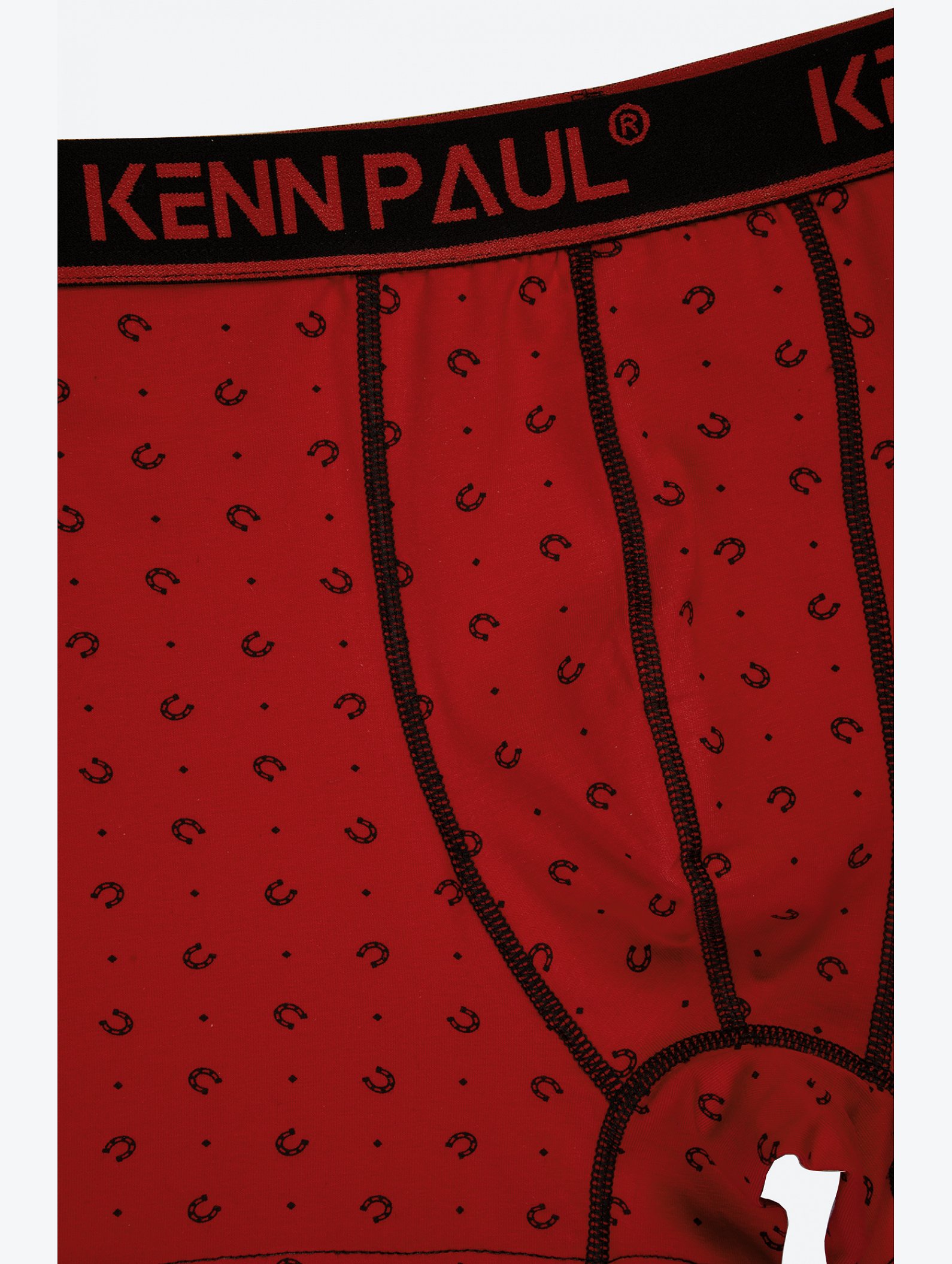 Мужские трусы-боксеры Kenn Paul