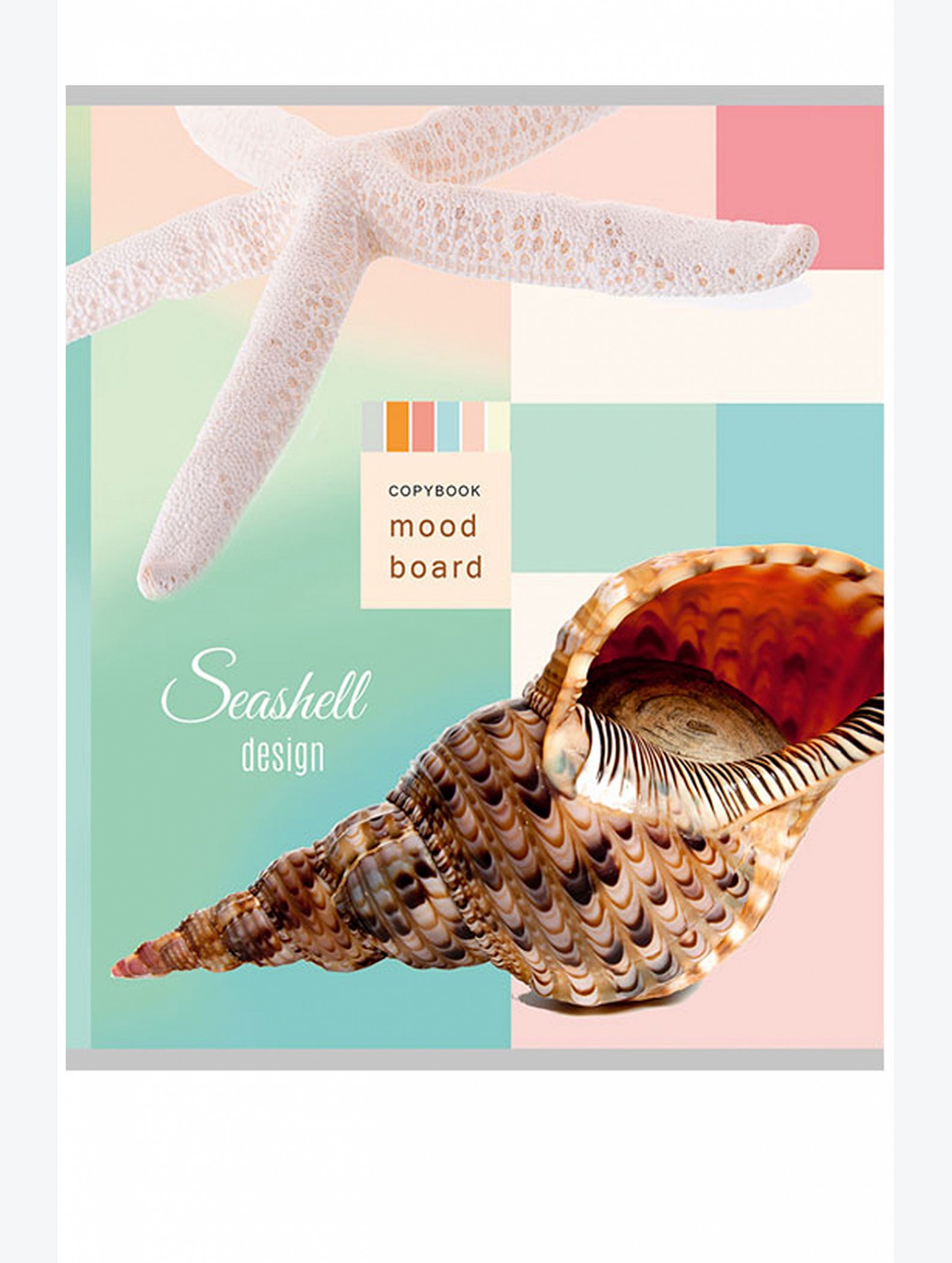 Набор тетрадей в клетку 48 л. 5 шт. Collezione