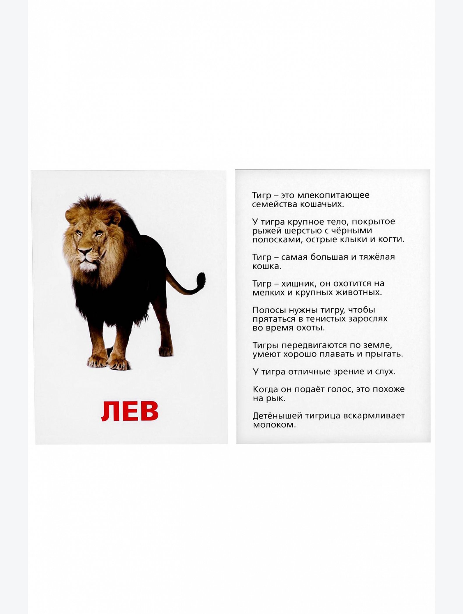 Обучающие карточки по методике Г. Домана Животные жарких стран ЛАС ИГРАС