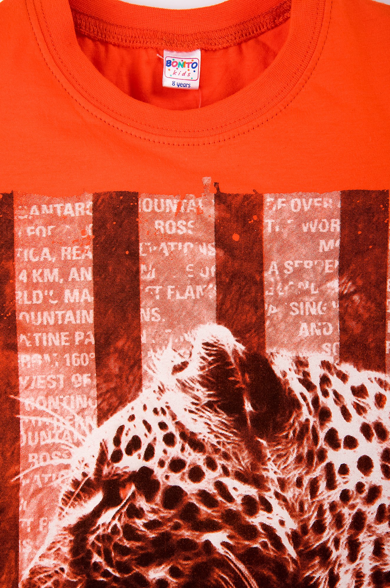 Футболка для мальчика Bonito