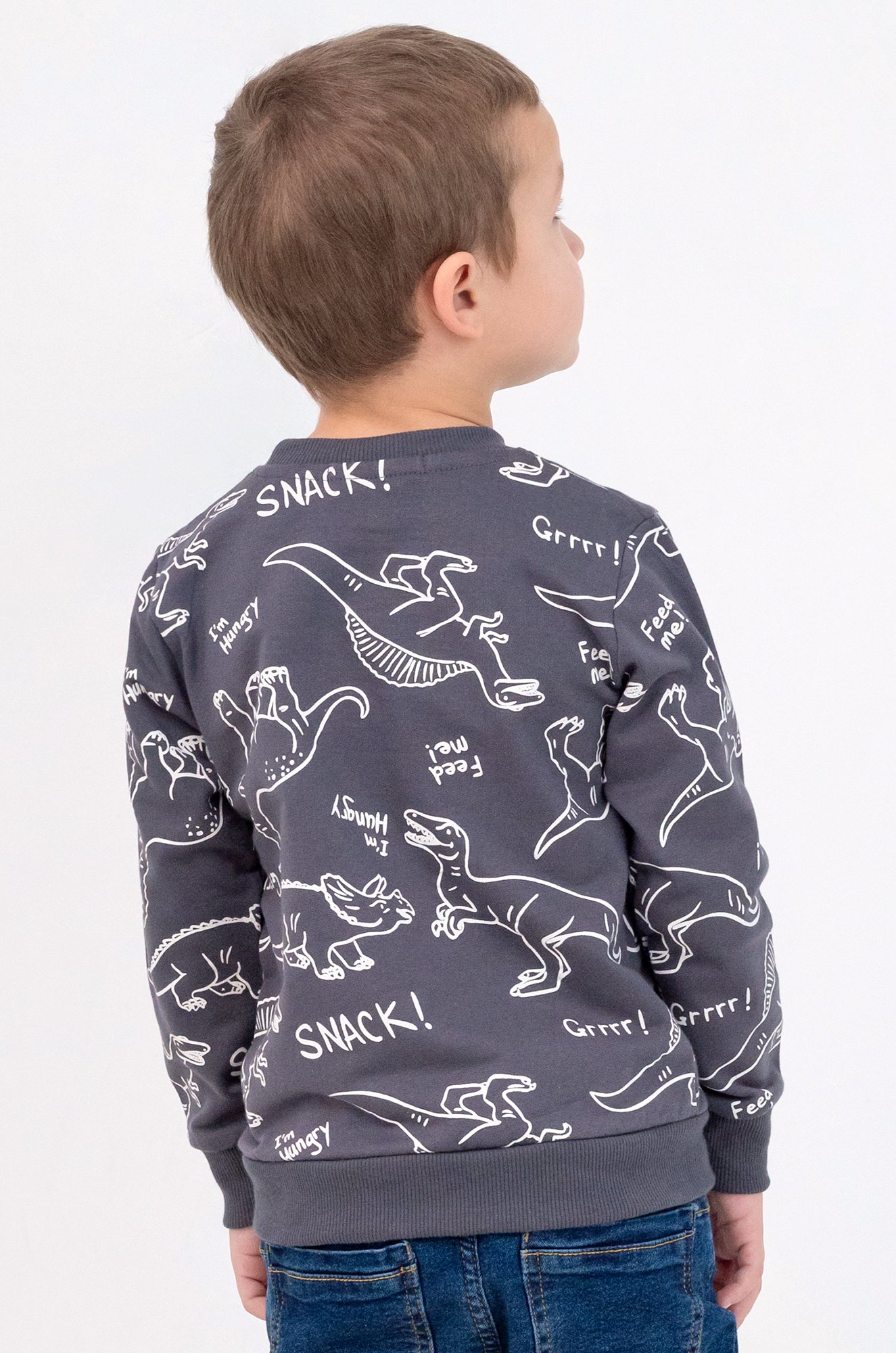 Теплый джемпер из футера двухнитки с начесом для мальчика Bonito