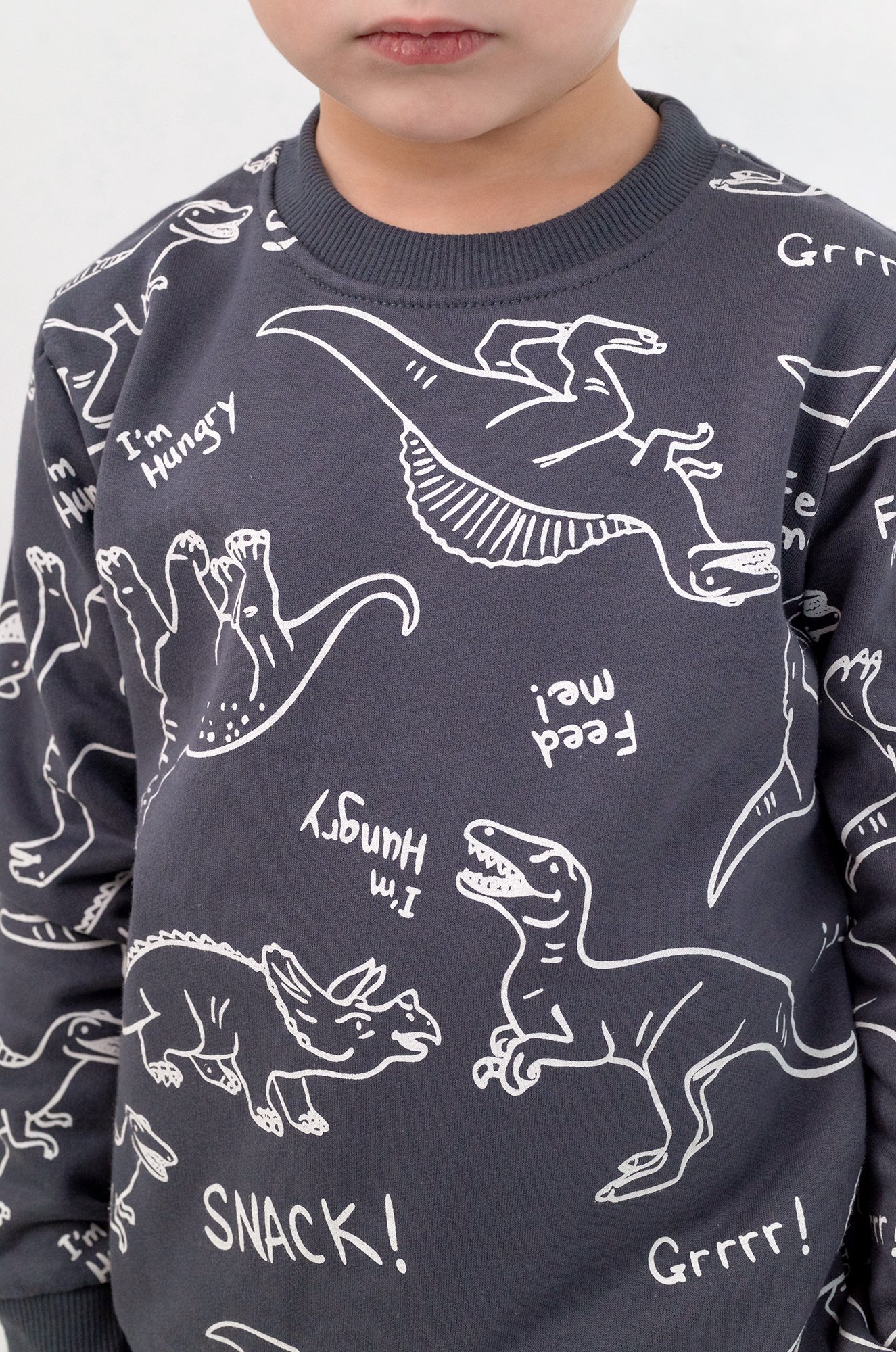 Теплый джемпер из футера двухнитки с начесом для мальчика Bonito