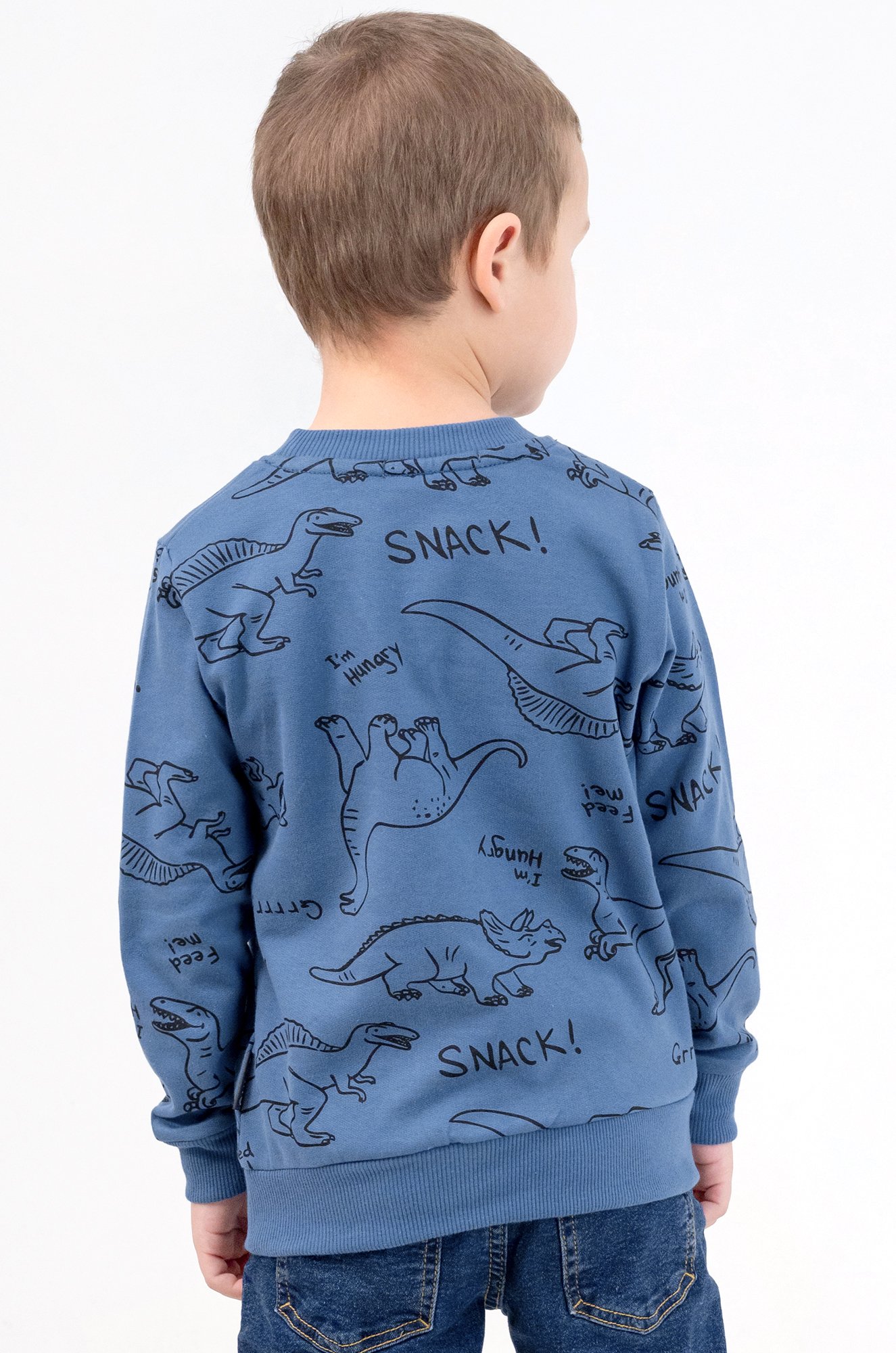 Теплый джемпер из футера двухнитки с начесом для мальчика Bonito