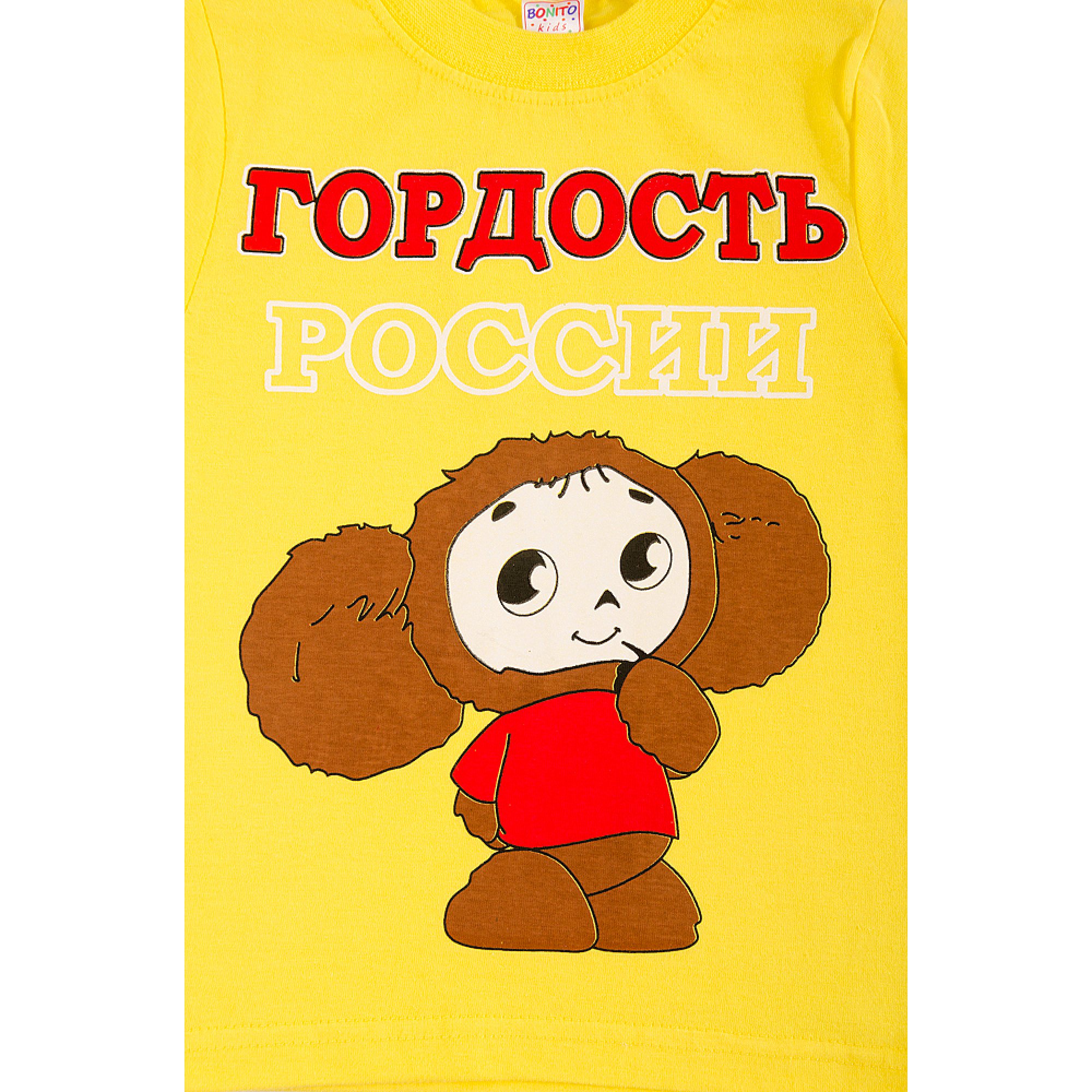 Футболка для мальчика Bonito