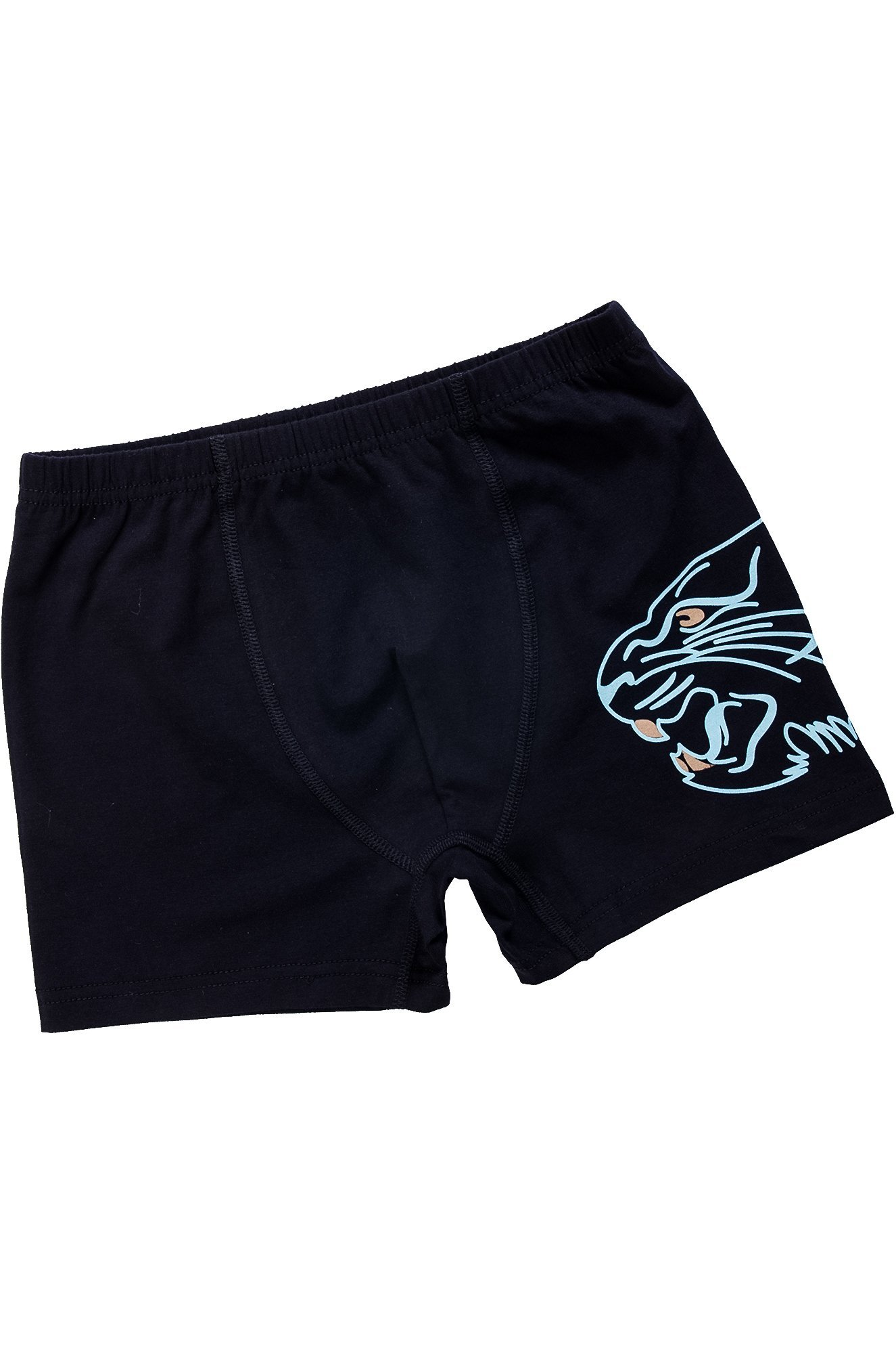 Трусы для мальчика Baykar