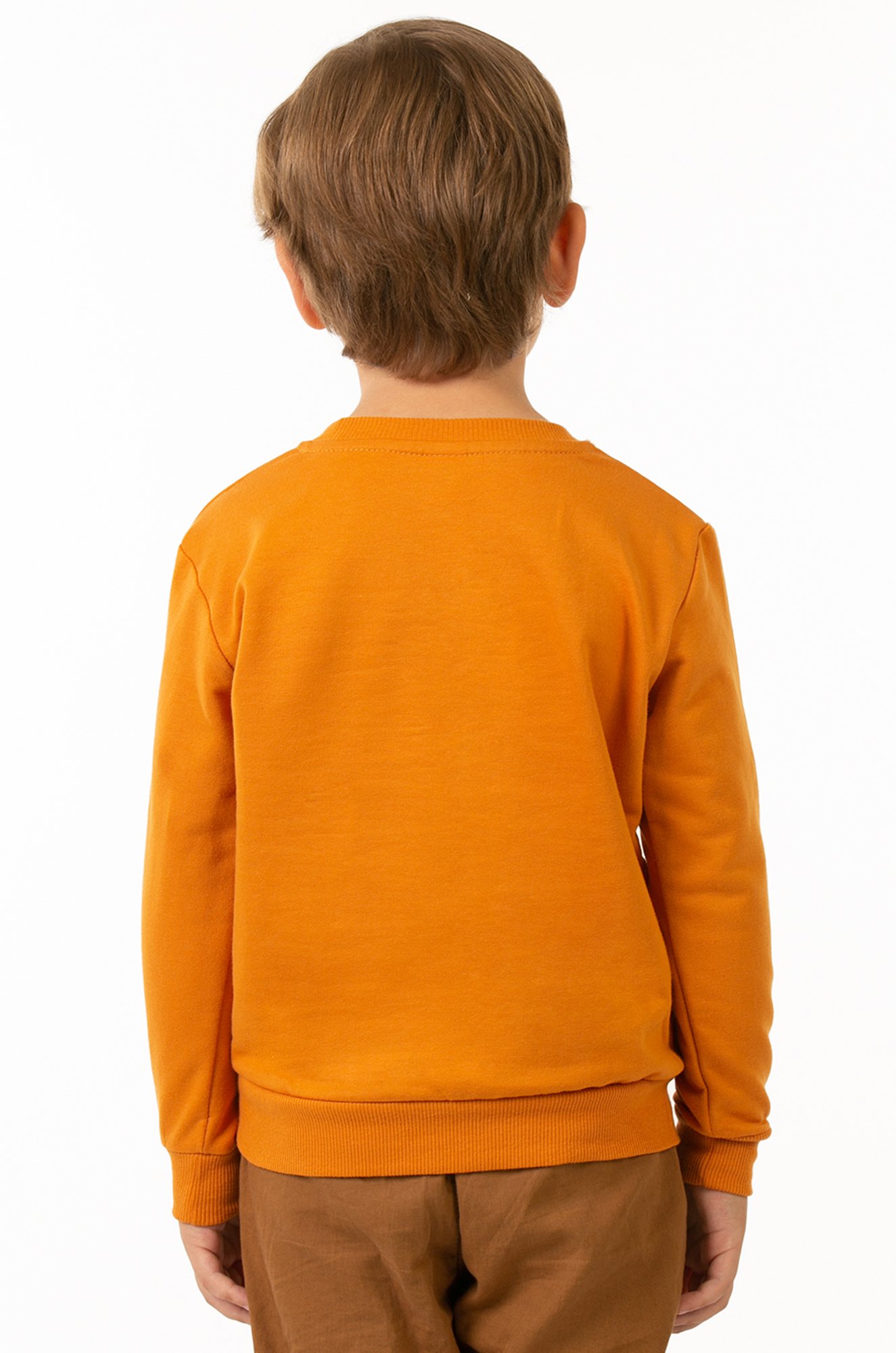 Свитшот для мальчика из футера двухнитки Baby Style