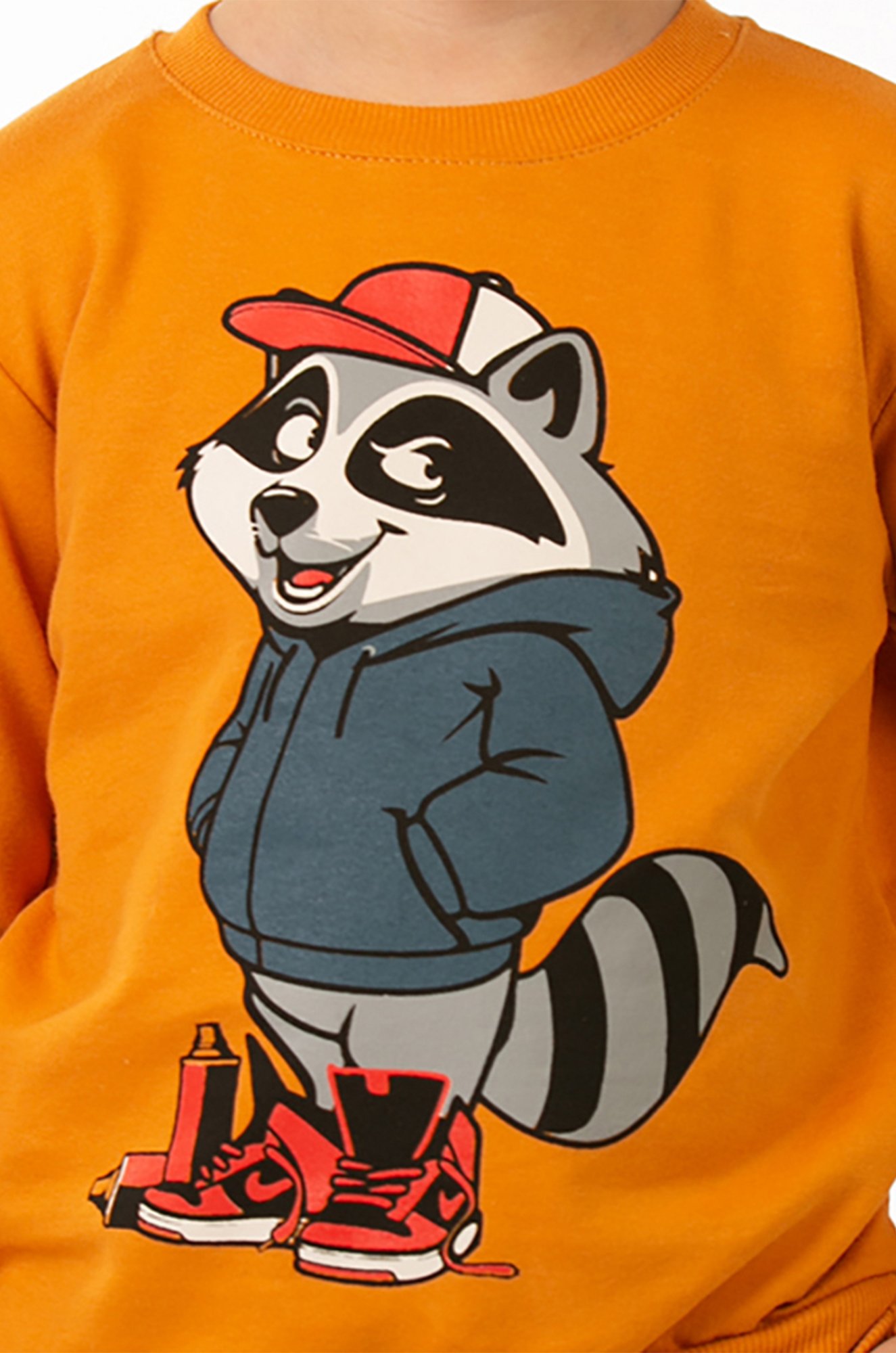 Свитшот для мальчика из футера двухнитки Baby Style