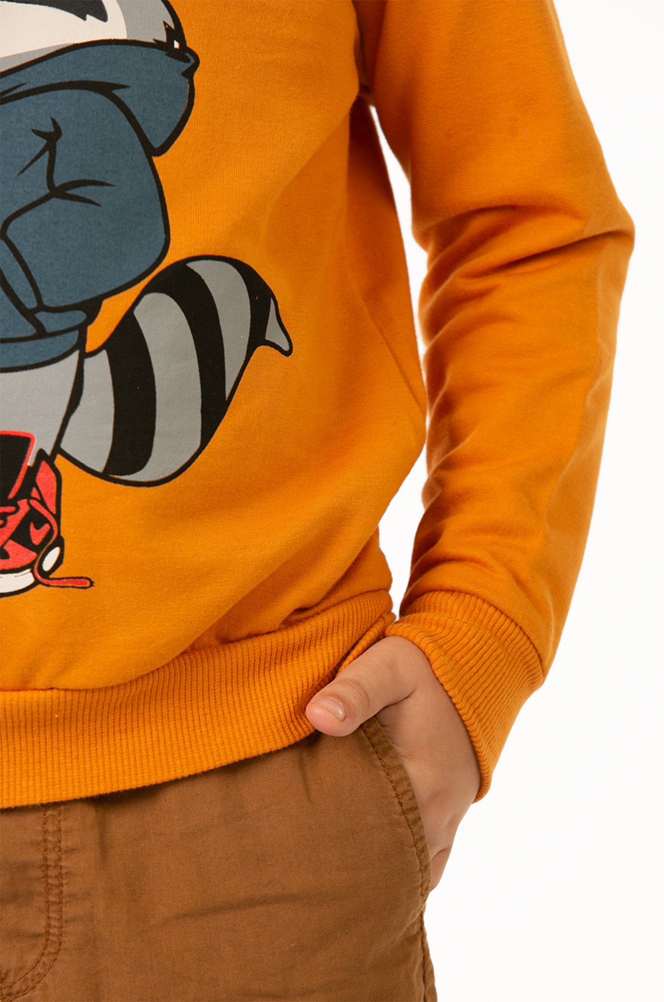 Свитшот для мальчика из футера двухнитки Baby Style