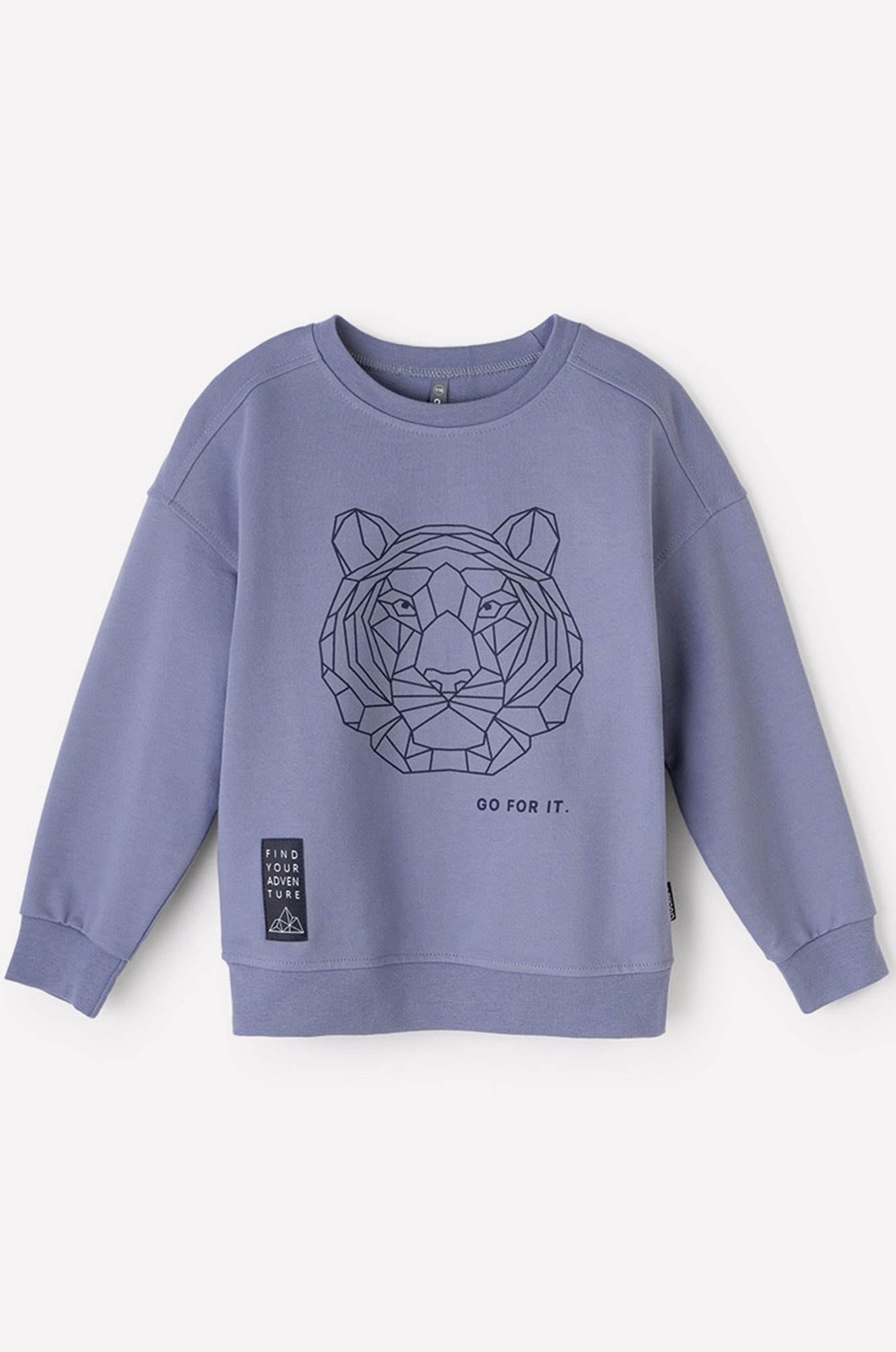 Джемпер для мальчика из петельчатого футера Crockid