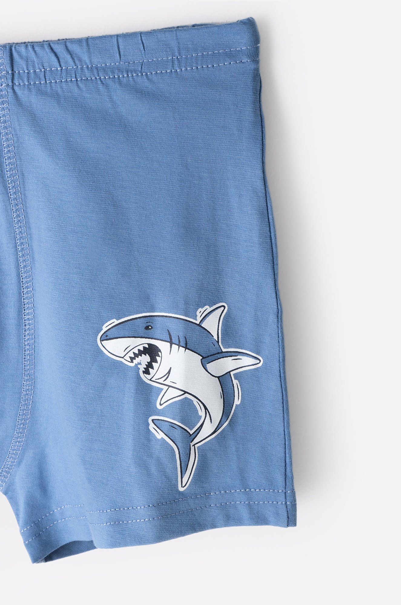 Трусы-боксеры для мальчика набор 2 шт. Cubby