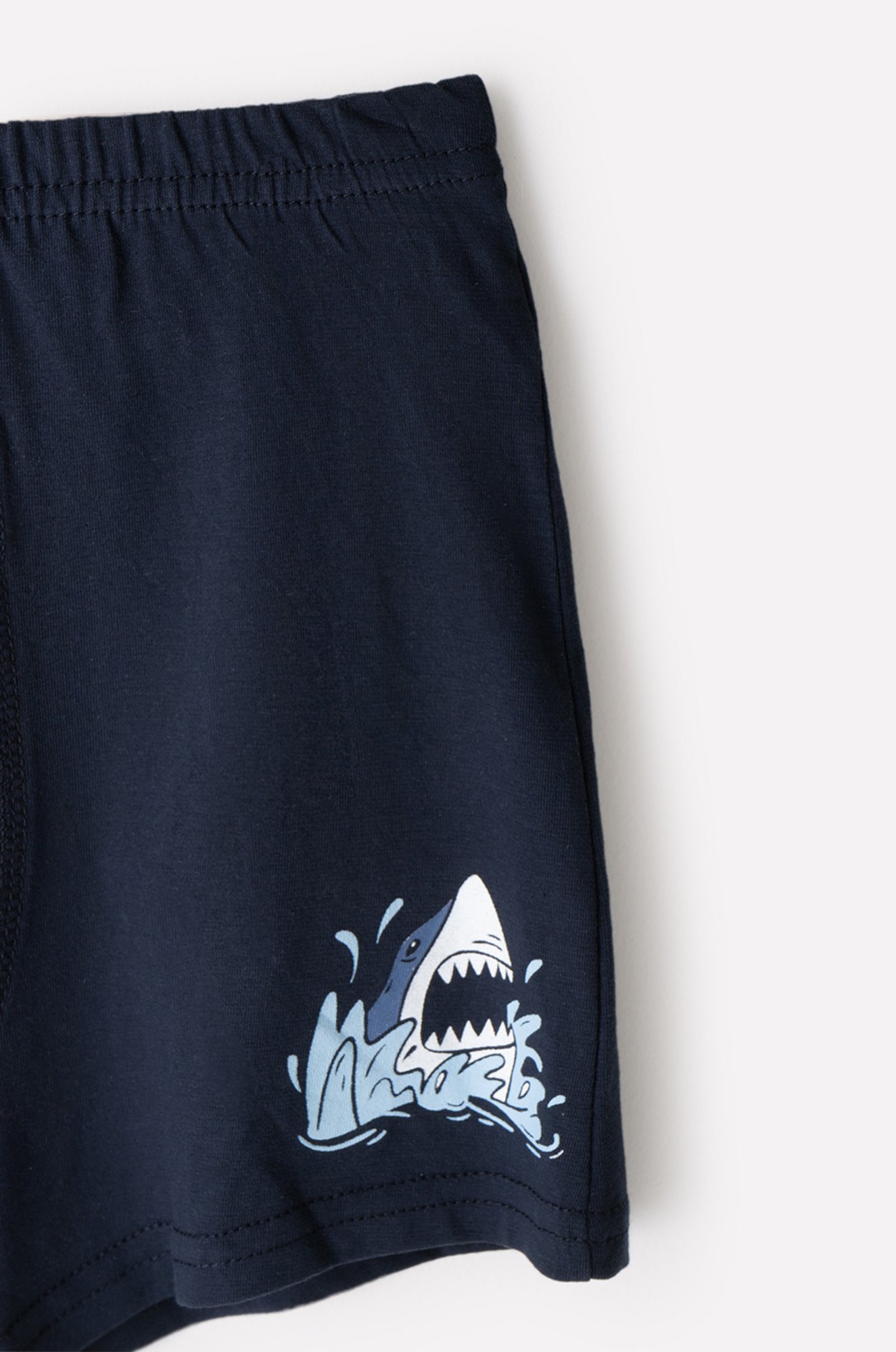 Трусы-боксеры для мальчика набор 2 шт. Cubby