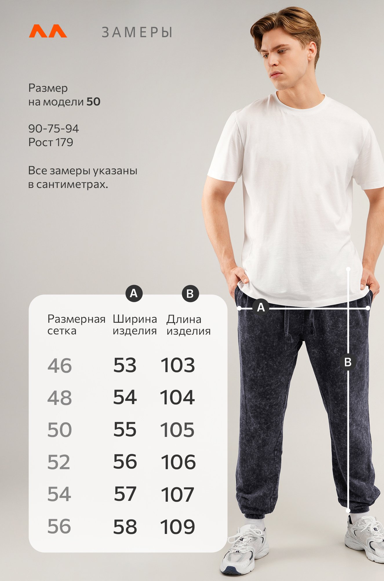 Мужские брюки из футера двухнитки Happyfox