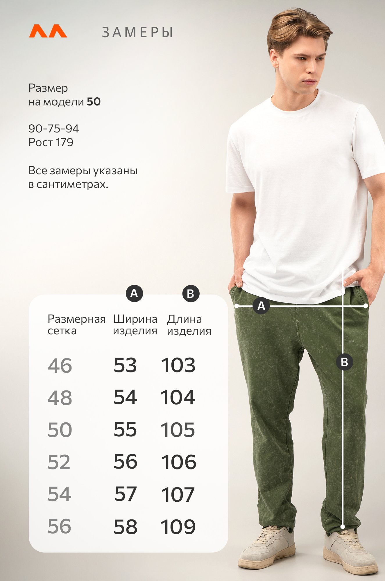 Мужские брюки из футера двухнитки Happyfox