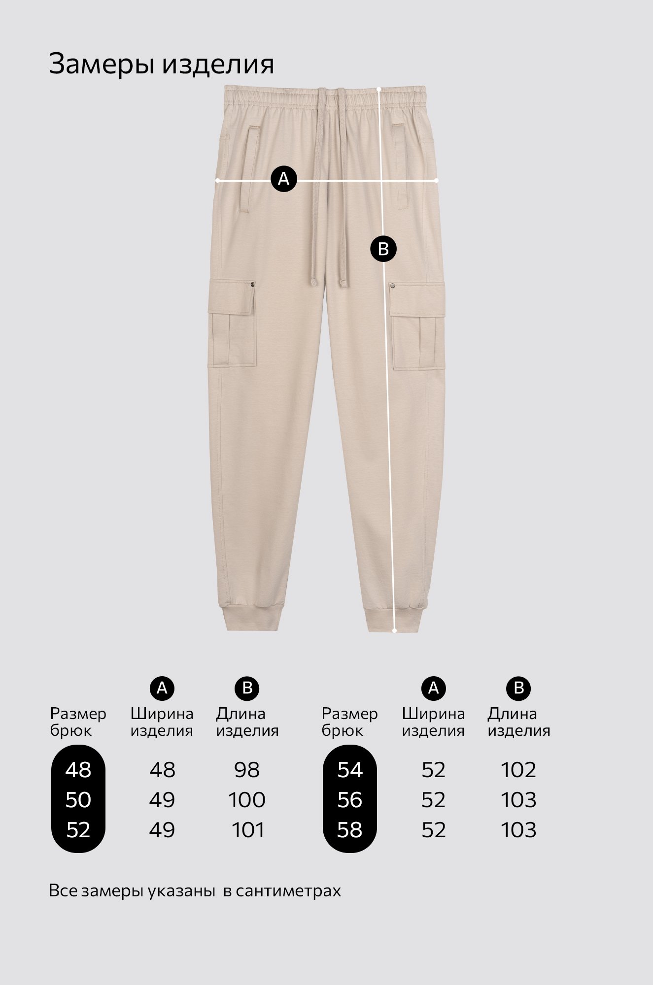 Мужские брюки из футера двухнитки Happyfox