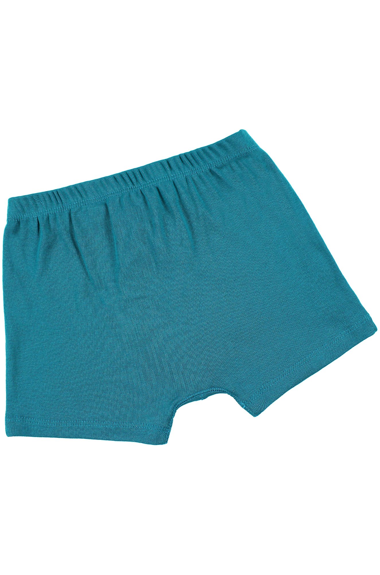 Трусы для мальчика Basia