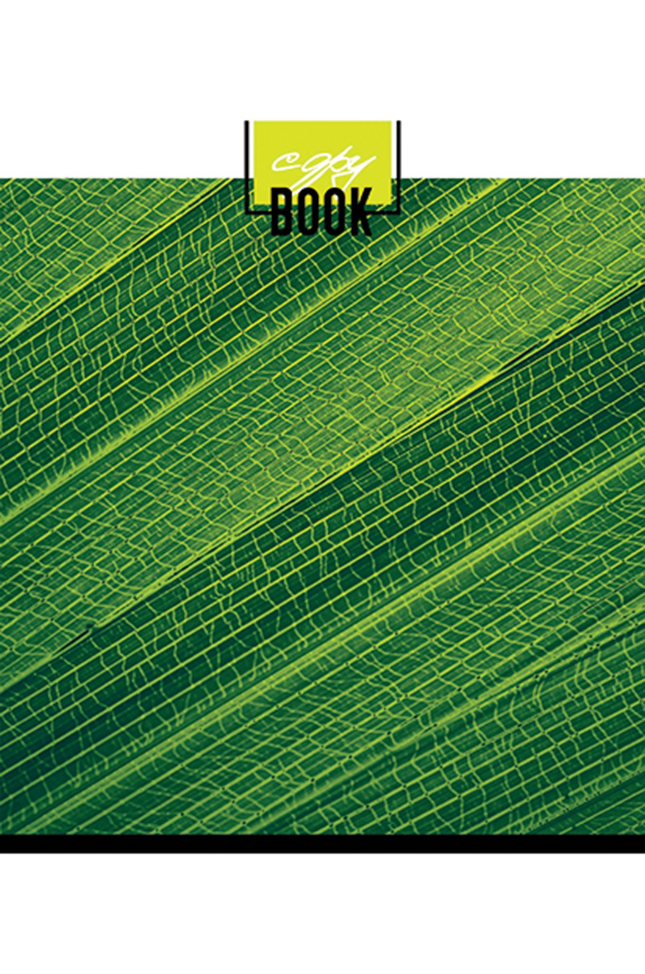Набор общих тетрадей в клетку 48 л. 5 шт. Полотняно-Заводская бумажная мануфактура