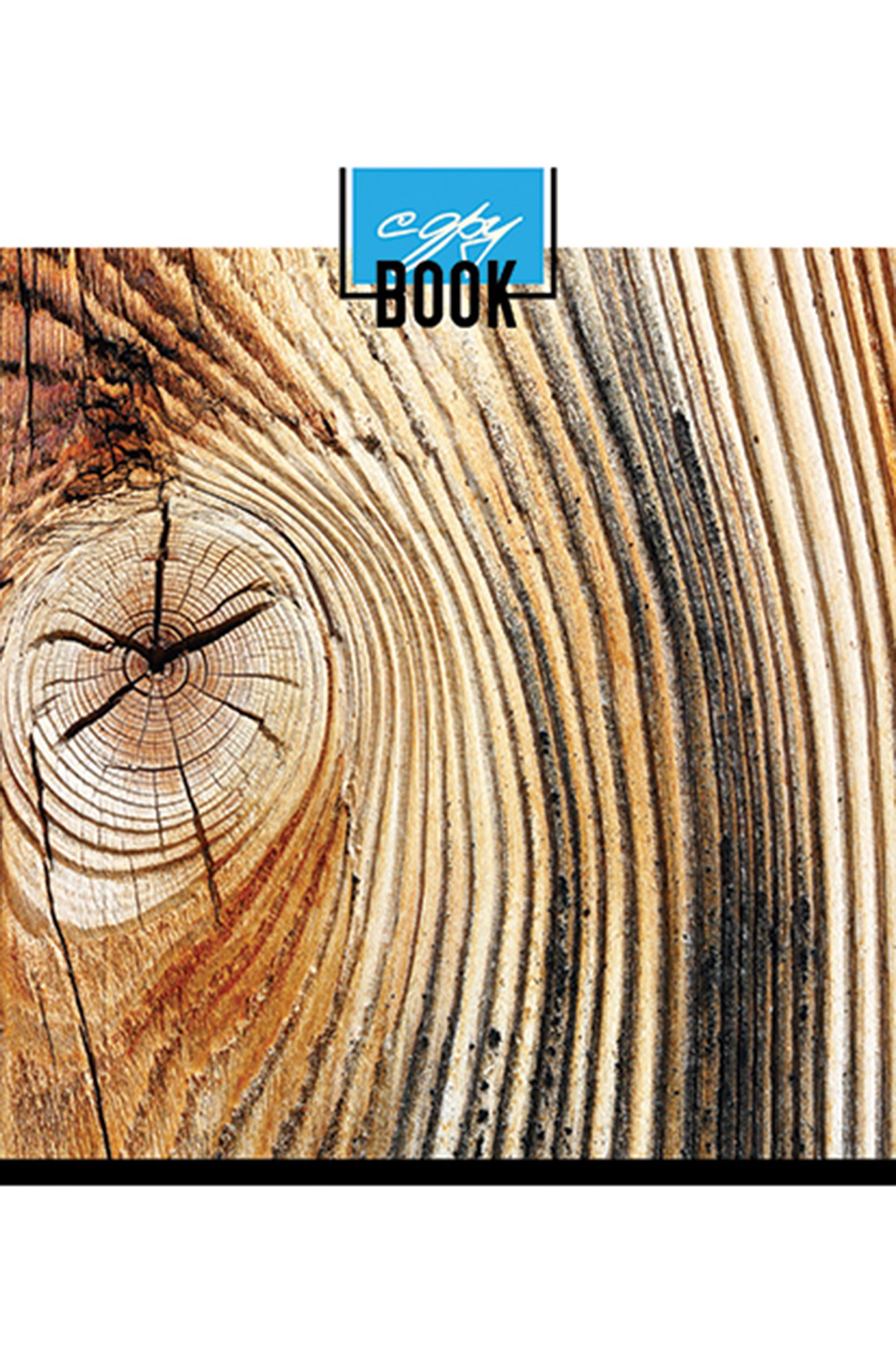 Набор общих тетрадей в клетку 48 л. 5 шт. Полотняно-Заводская бумажная мануфактура