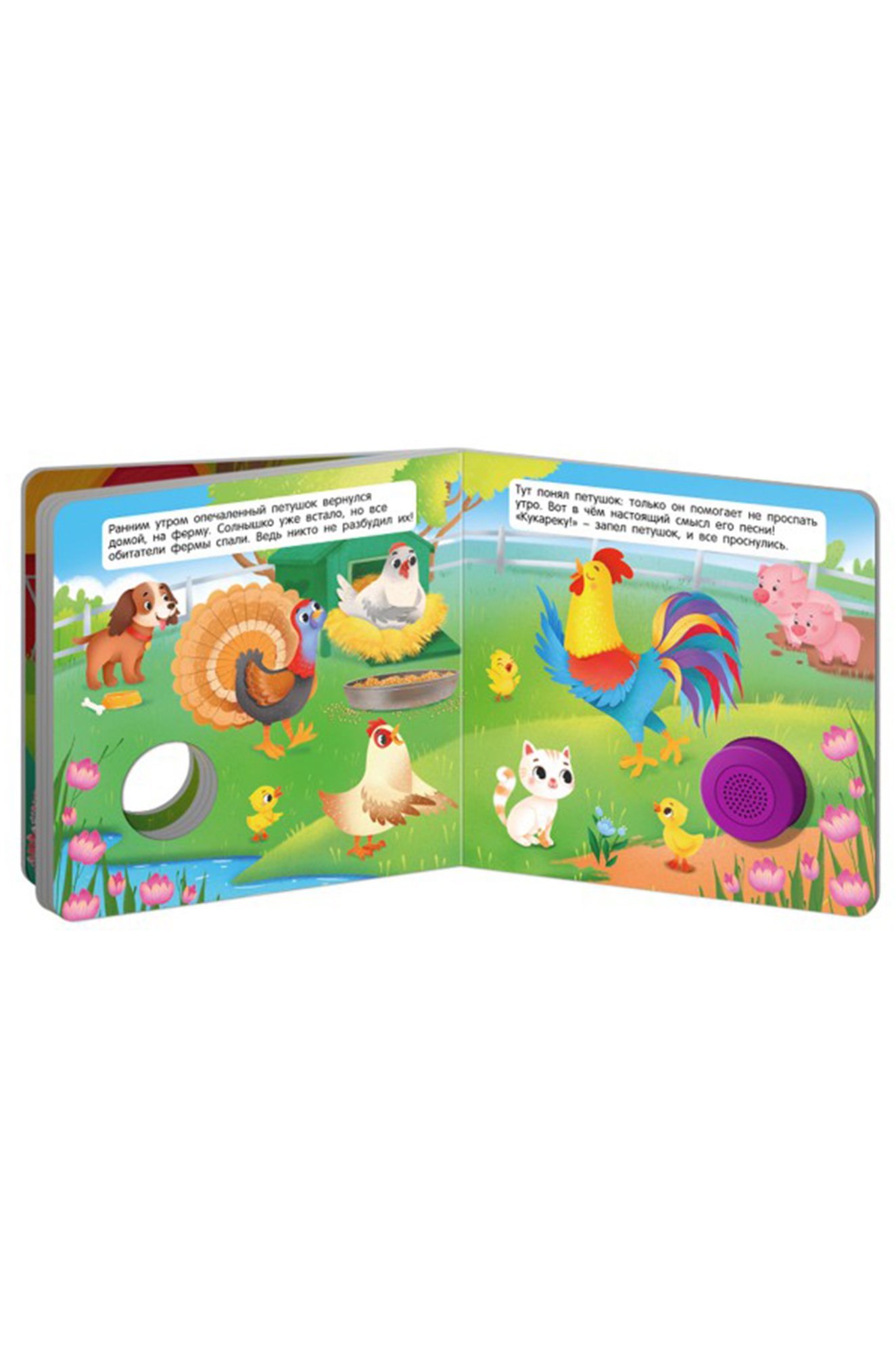 Звуковая книга Петушок, который любил петь 8 стр. ND Play