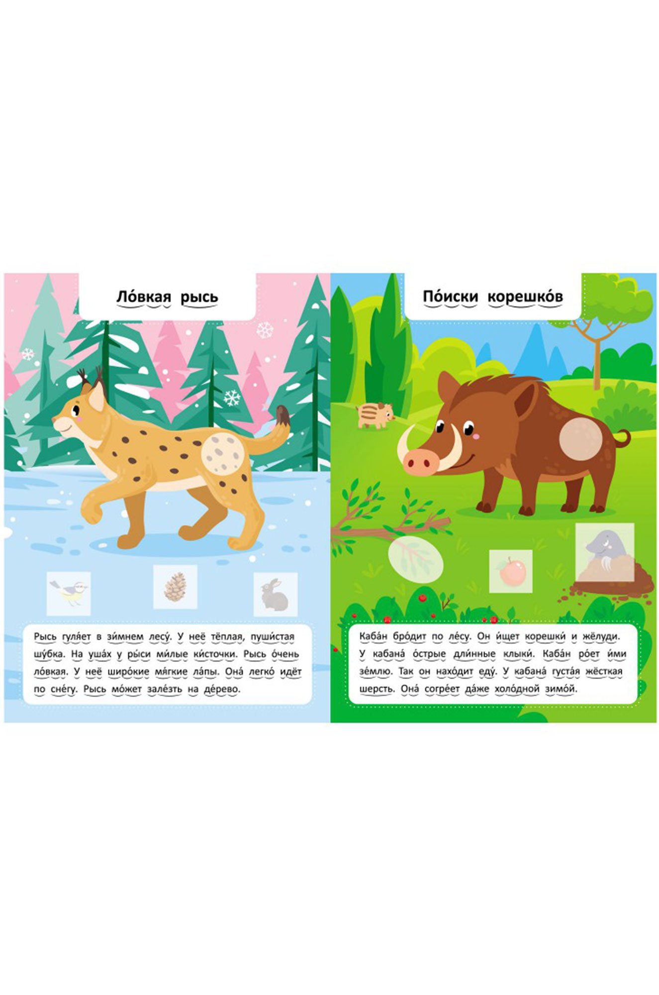 Развивающая книга с наклейками 16 стр. ND Play