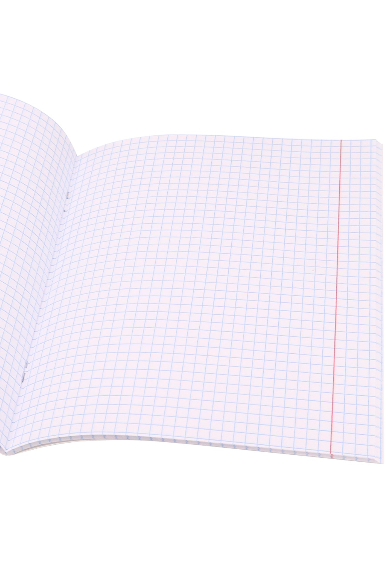 Набор тетрадей в клетку 48 л. 5 шт. Prof-Press