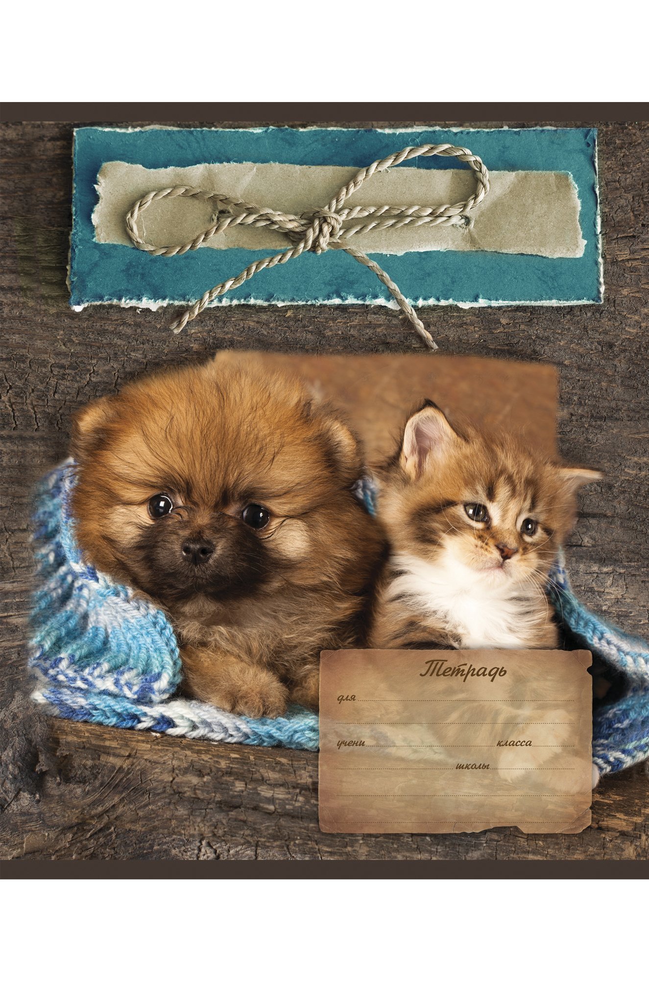 Набор тетрадей в клетку 24 л. 5 шт. Полотняно-Заводская бумажная мануфактура