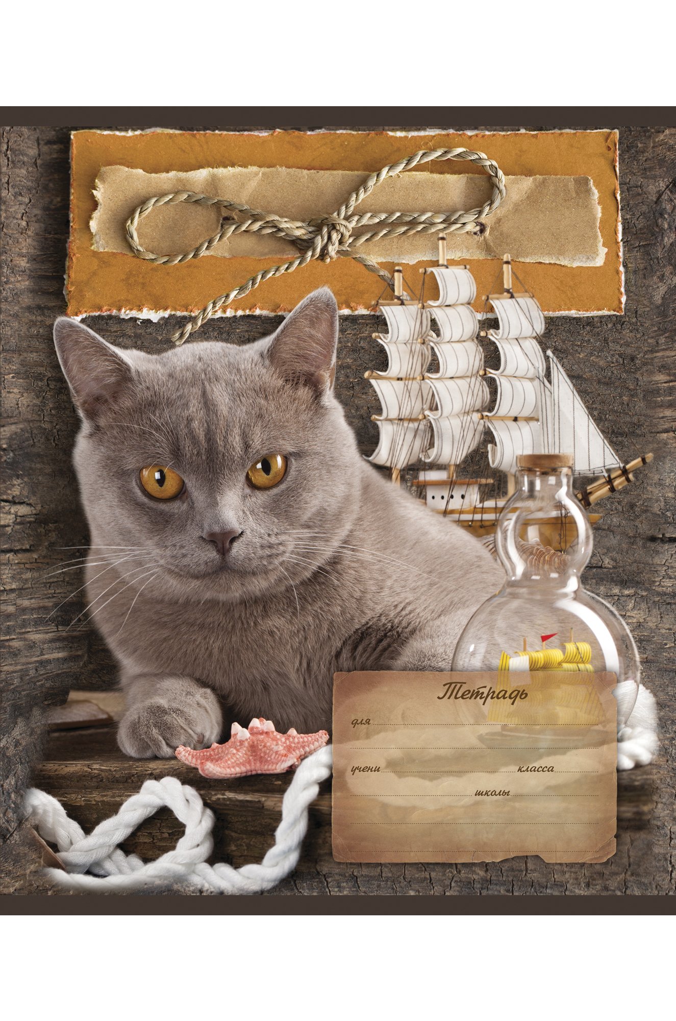 Набор тетрадей в клетку 24 л. 5 шт. Полотняно-Заводская бумажная мануфактура