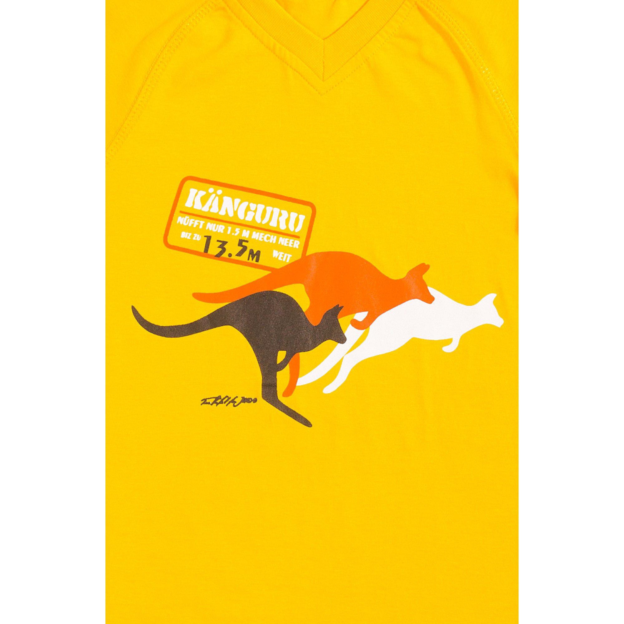 Футболка для мальчика SHISHCO