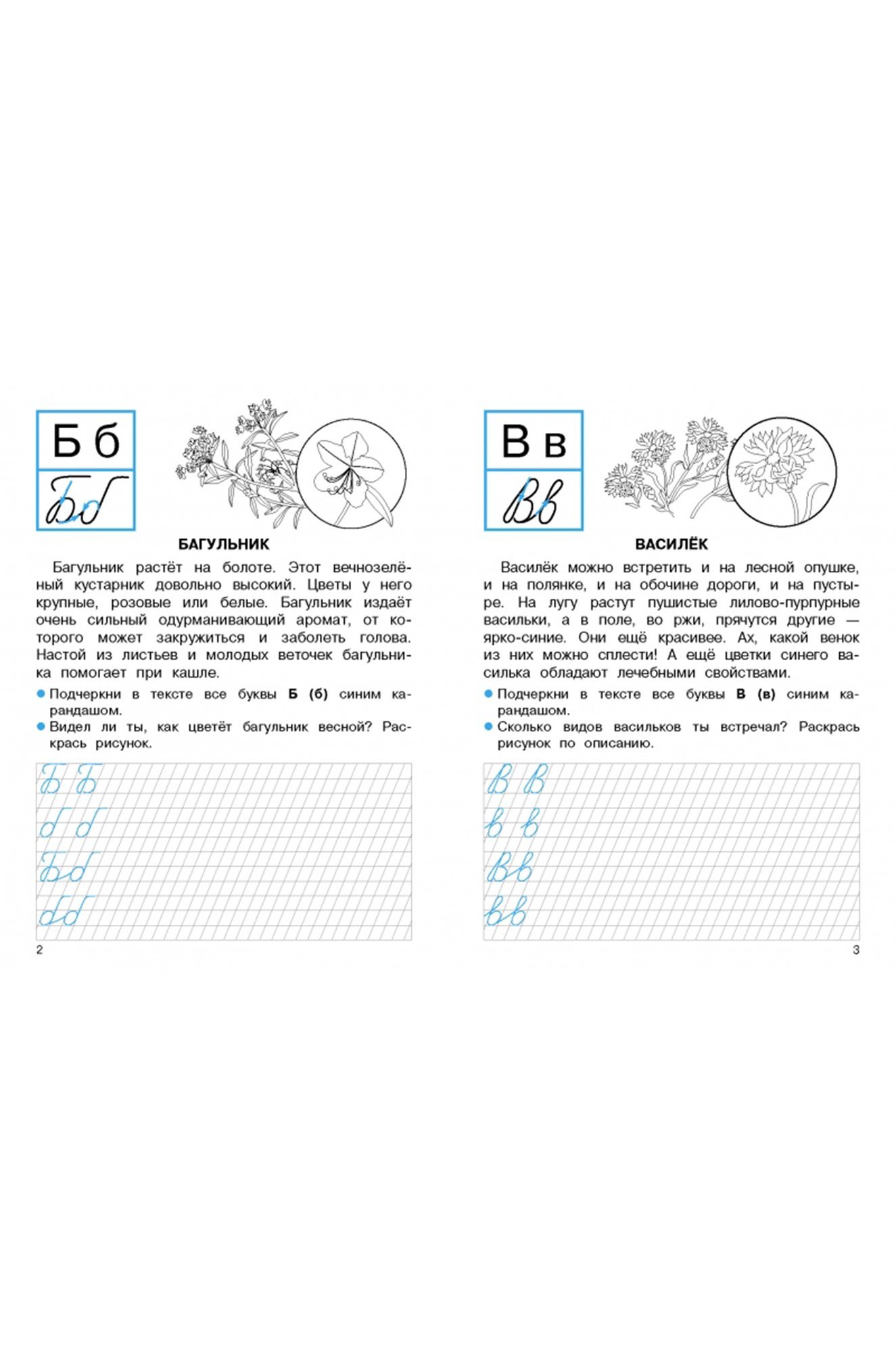 Набор прописей для первого класса 32 стр. 2 шт. Стрекоза