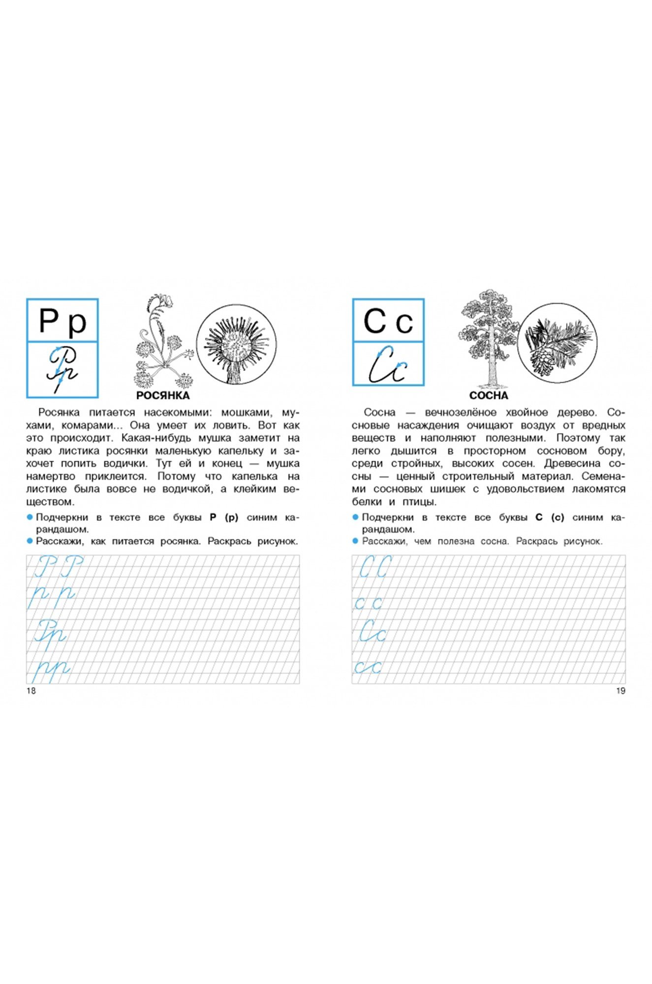 Набор прописей для первого класса 32 стр. 2 шт. Стрекоза