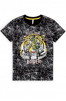 Футболка для мальчика из футера двухнитки Batik
