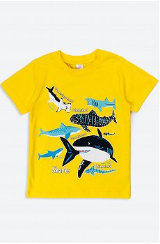 желтый.акула