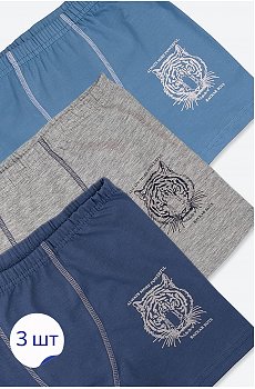 Трусы для мальчика 3шт. Baykar