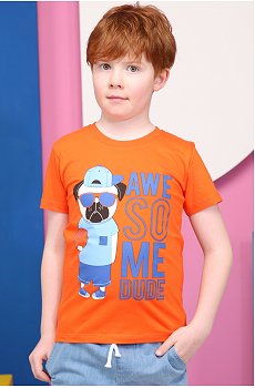 Футболка для мальчика Baby Style