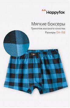 Трусы для мальчика Happy Fox