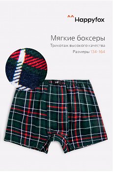 Трусы для мальчика Happy Fox