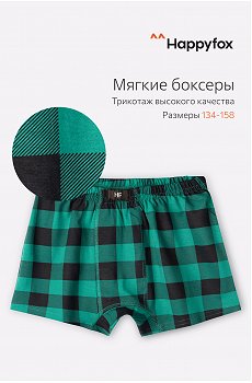 Трусы для мальчика Happy Fox