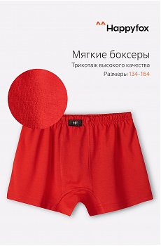 Трусы для мальчика Happy Fox