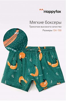 Трусы для мальчика Happy Fox