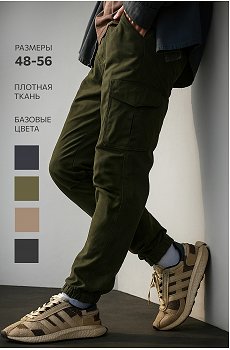 Мужские брюки-джоггеры Happyfox