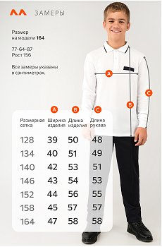 белый.с.т.синей.полоской