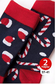 Набор носков 2 пары Happy Fox