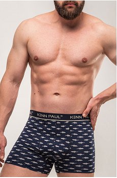 Мужские трусы-боксеры Kenn Paul