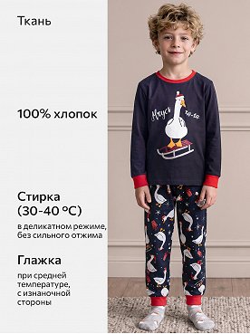 индиго.гусь