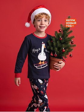 индиго.гусь