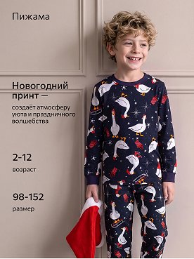 индиго.гусь