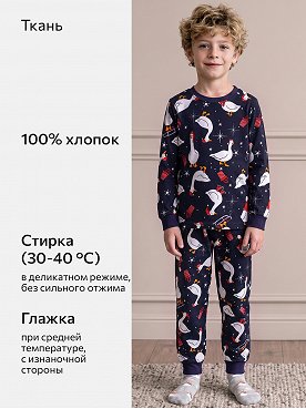 индиго.гусь